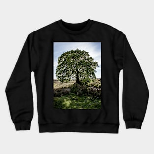 Sally Gap Tree Crewneck Sweatshirt